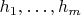 $h_1, \dots, h_m$ $h_1, \dots, h_m$