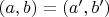 $(a,b)=(a',b')$