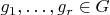 $g_1,\dots,g_r \in G$