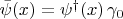 $\bar{\psi}(x) = \psi^{\dagger}(x) \, \gamma_{0}$