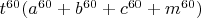 $  t^{60}(a^{60}+b^{60}+c^{60}+m^{60})$