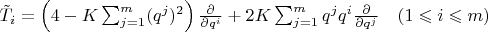 $\tilde{T}_i &=  \left(4 - K\sum_{j=1}^{m} (q^j)^2\right)
      \frac{\partial }{\partial q^i} + 2K\sum_{j=1}^{m} q^jq^i\frac{\partial}{\partial q^j} \quad (1 \leqslant i  \leqslant m)$